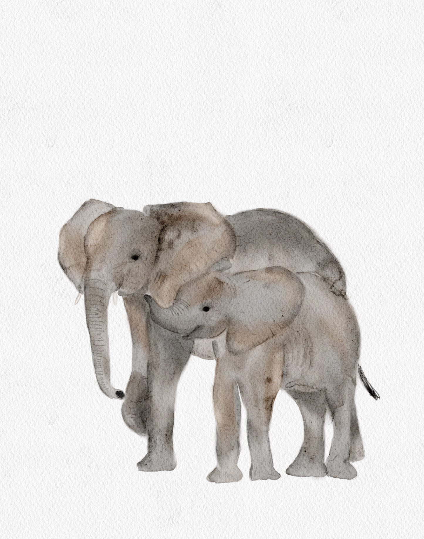 Cartão BABY ELI (6 unidades)