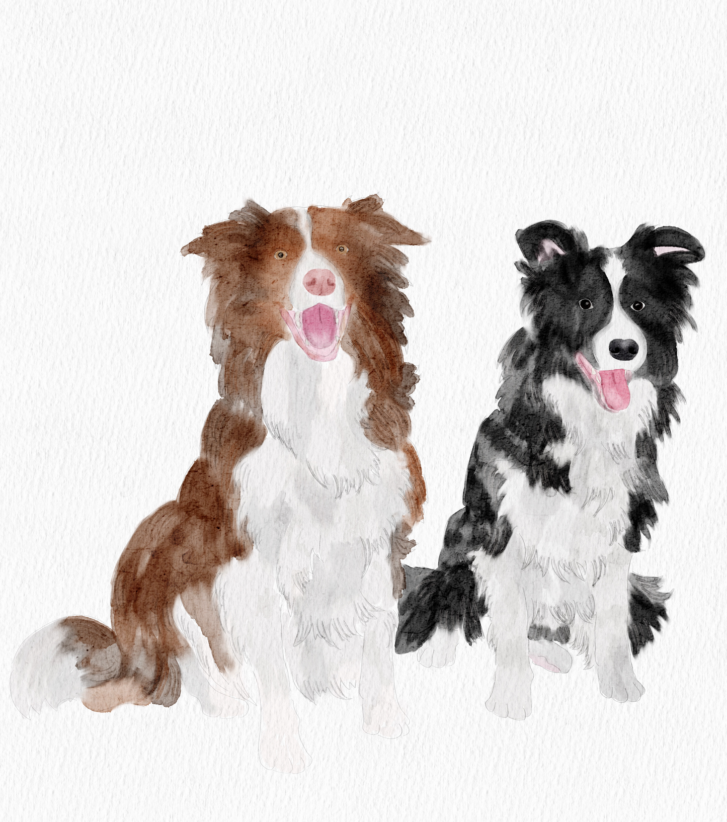 {digital} aquarela detalhada e personalizada do seu pet