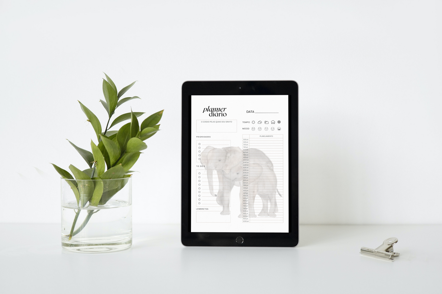 Any day, anywhere planner BABY ELI (formato digital)